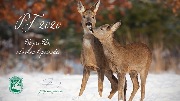 PF 2020