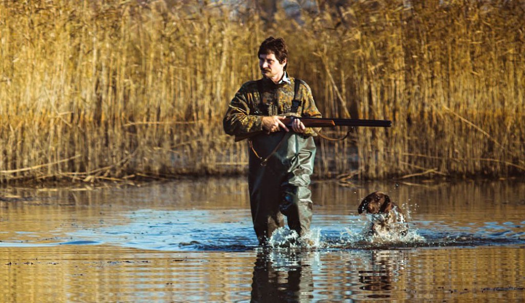Охота займет 24 часа. Охота на пернатую дичь 2020 в Московской области. Охота на водоплавающую дичь 2020. Летняя охота.