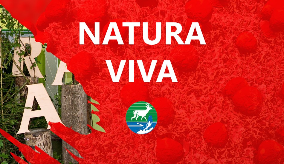 Koronavirus - Natura Viva