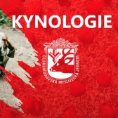 kynol_red_168