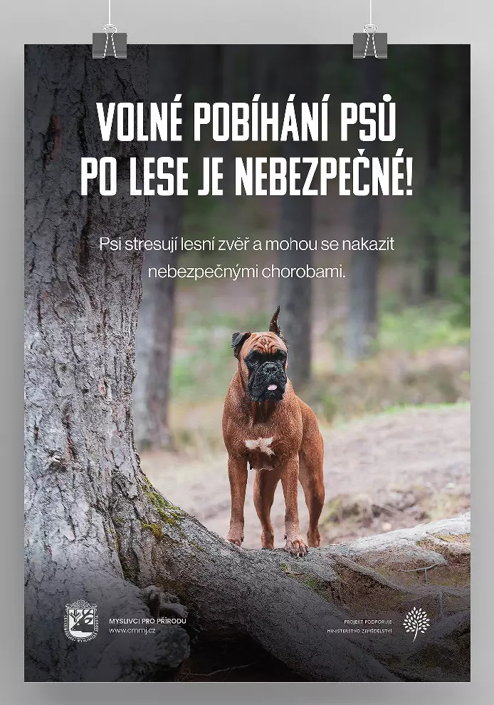 Volné pobíhání psů po lese je nebezpečné.