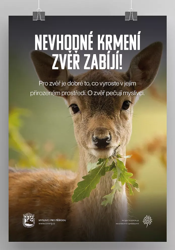 Nevhodné krmení zvěř zabíjí!