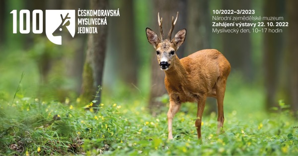 Výstava