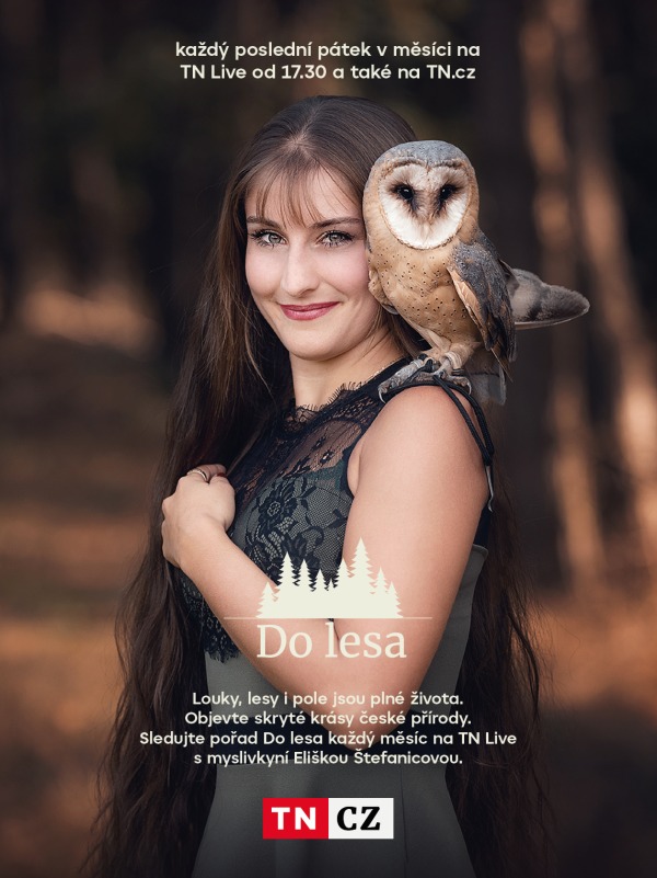 Do lesa