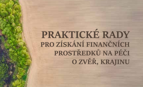 Praktické rady pro získání financí