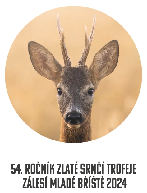 NF ZST 2024 Instrukce a formuláře