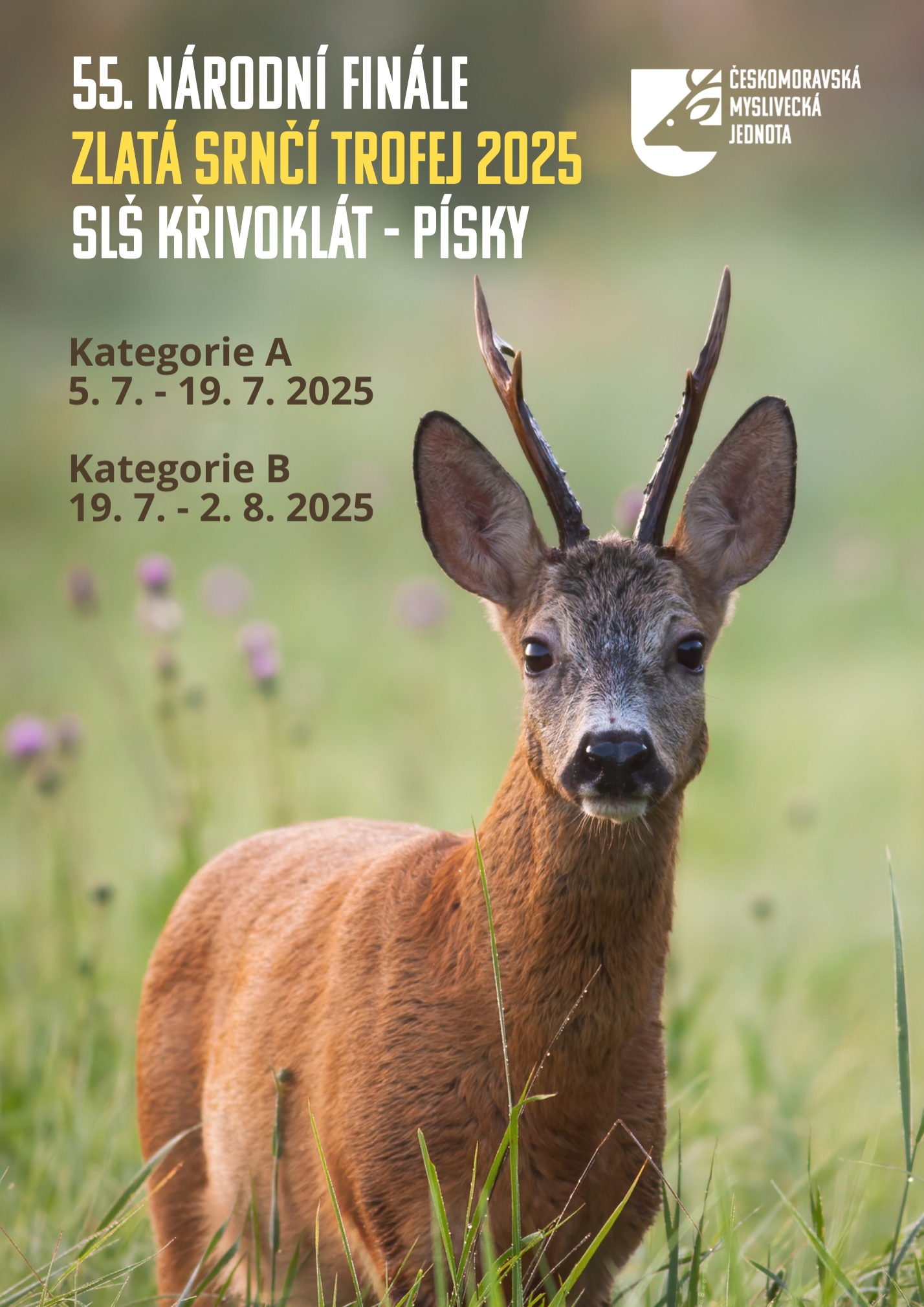 NF ZST 2025 aktuálně