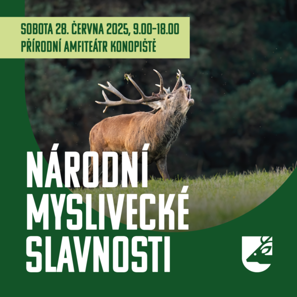 cmmj-2025-03-nms-some-square (2)