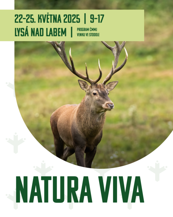 cmmj-2025-04-natura-viva-some-portrait