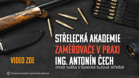 Vlastní rozměry 600x340 px (7)