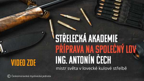 Vlastní rozměry 600x340 px (12)