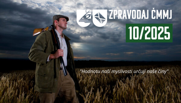 Custom dimensions 600x340 px (24)