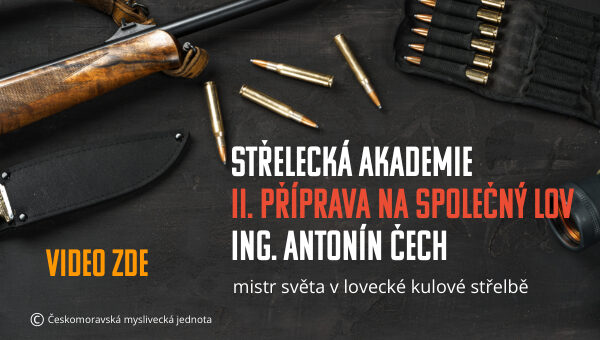 Vlastní rozměry 600x340 px (23)