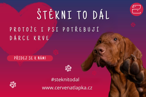 Štěkni to dál (1200 x 800 px)