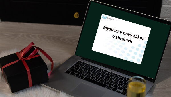 Vlastní rozměry 600x340 px (26)