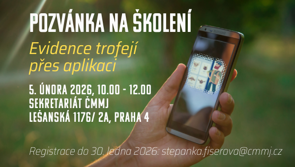 Custom dimensions 600x340 px (5)