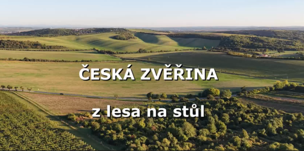 Snímek obrazovky 2026-01-07 103428