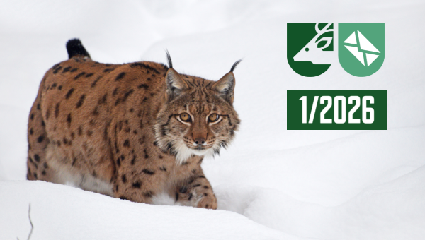 Vlastní rozměry 600x340 px (4)