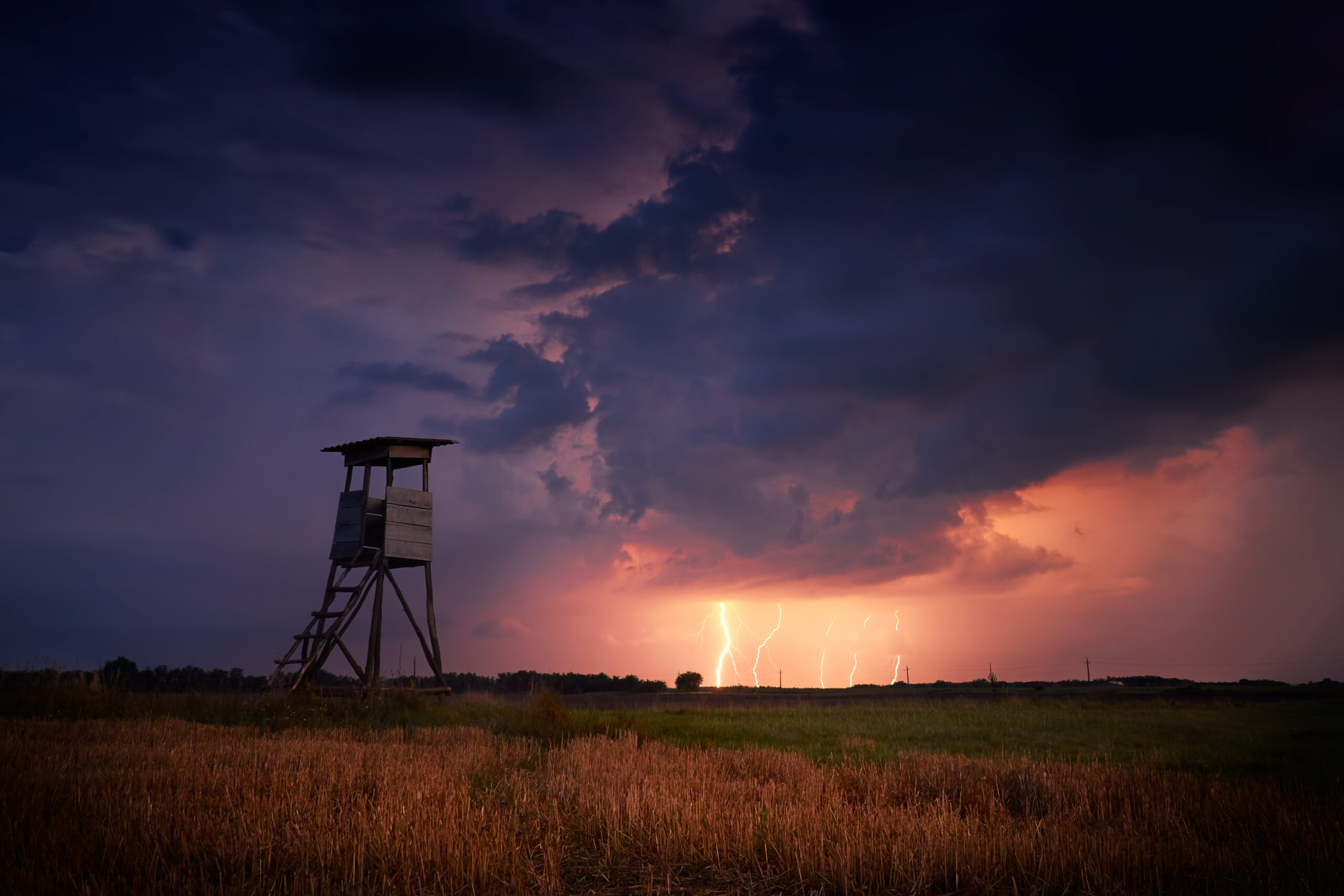 Halali: pozvánka ma online webinář