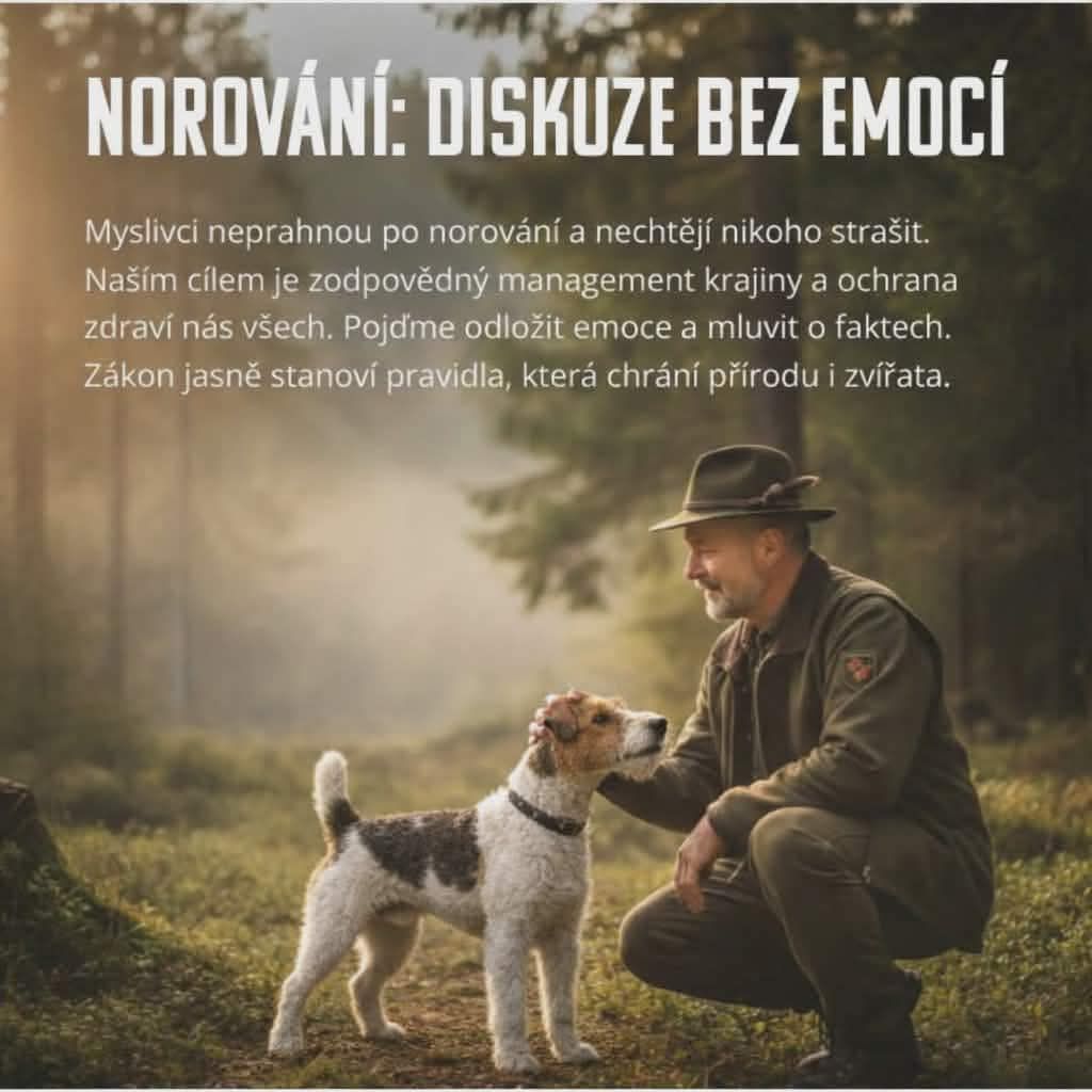 Norování lišek: diskuze bez emocí, fakta a&nbsp;realita