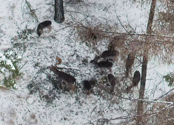 Snimek-obrazovky-2026-02-17-v-14.12.02