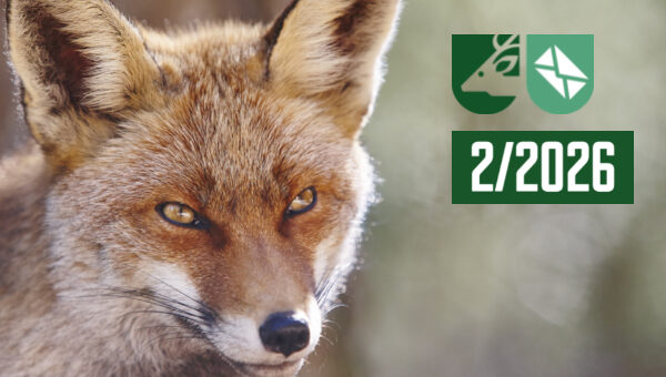 Vlastní rozměry 600x340 px (29)