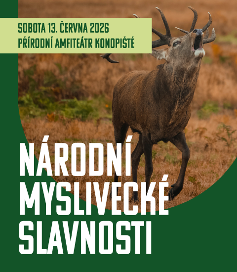 cmmj-2026-nms-web-mobil