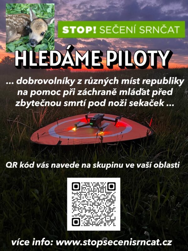 kampaň, republika, tmavá