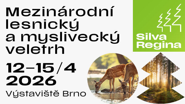 silva regina_26_600 x 340