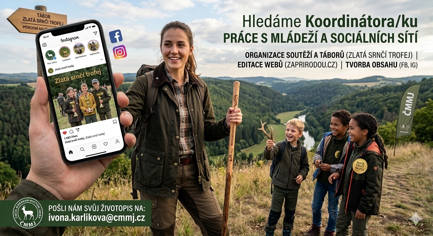 Hledáme Koordinátora/ku práce s&nbsp;mládeží a&nbsp;sociálních sítí