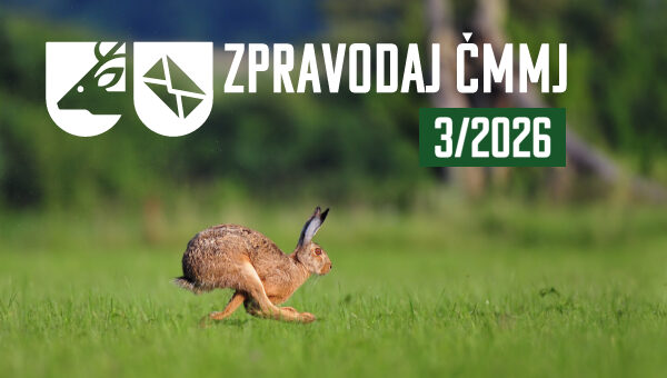 Vlastní rozměry 600x340 px (30)