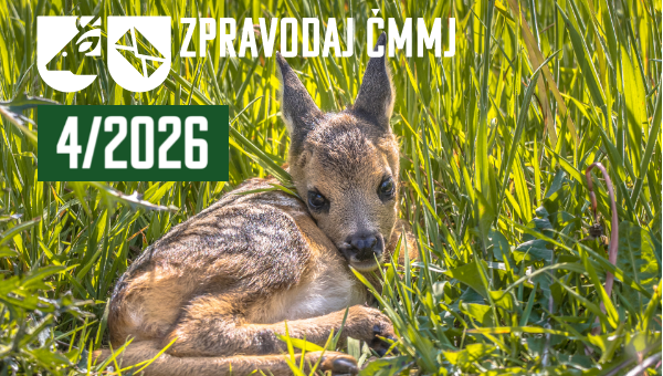 Vlastní rozměry 600x340 px (5)