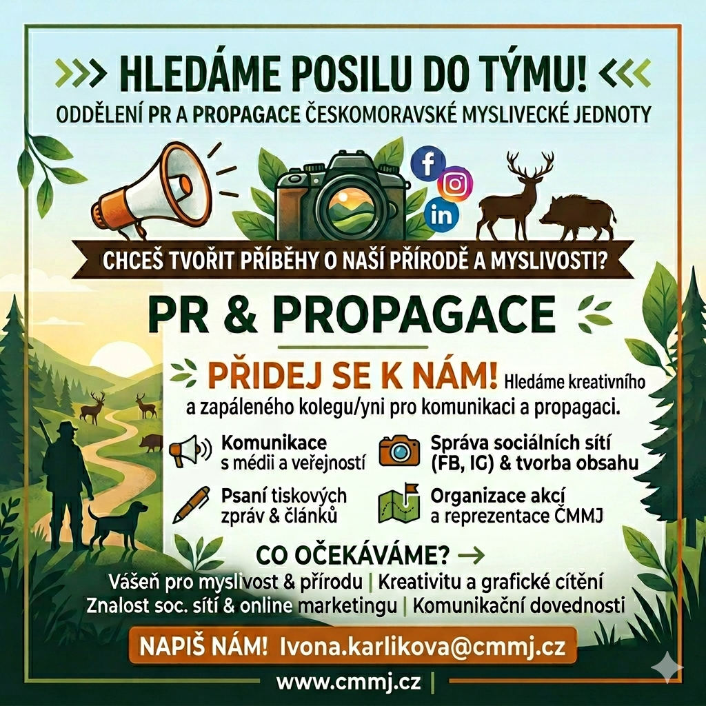 Hledáme do týmu posilu