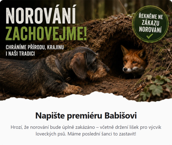 Snímek obrazovky 2026-05-28 120338