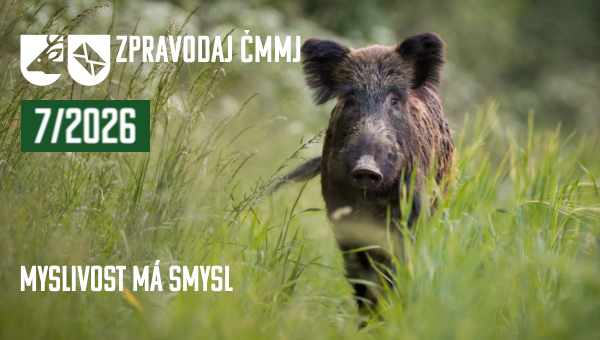 Vlastní rozměry 600x340 px (10)