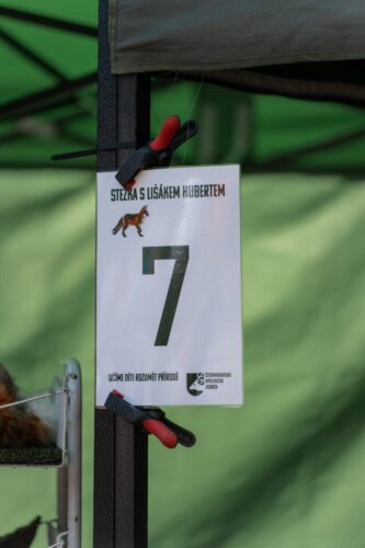 img-138