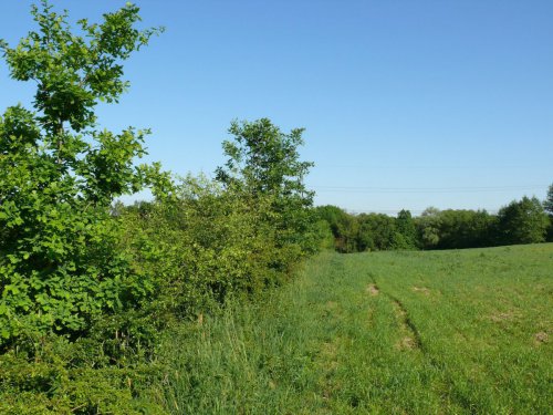 Založení remízu – Albrechtice, okr. Karviná